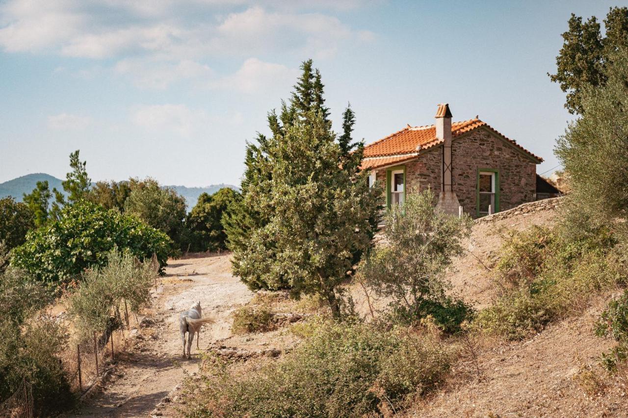 Toumba Eco Farm Guesthouses Plomari Exterior photo